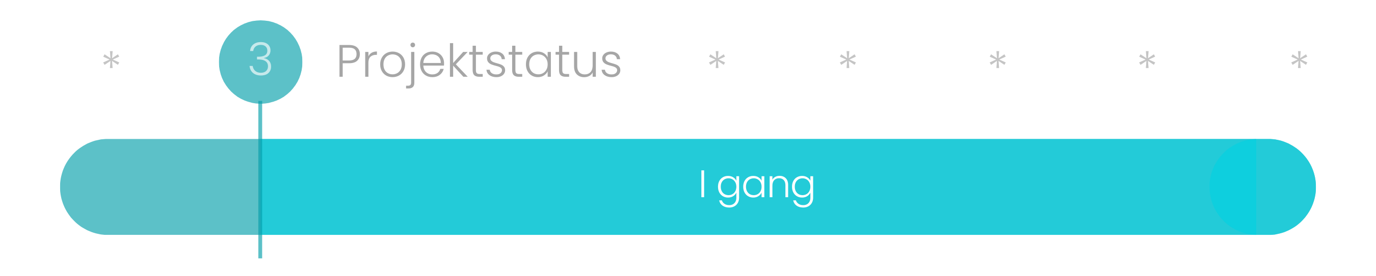 Projektstyring - Project Timeline Graphic