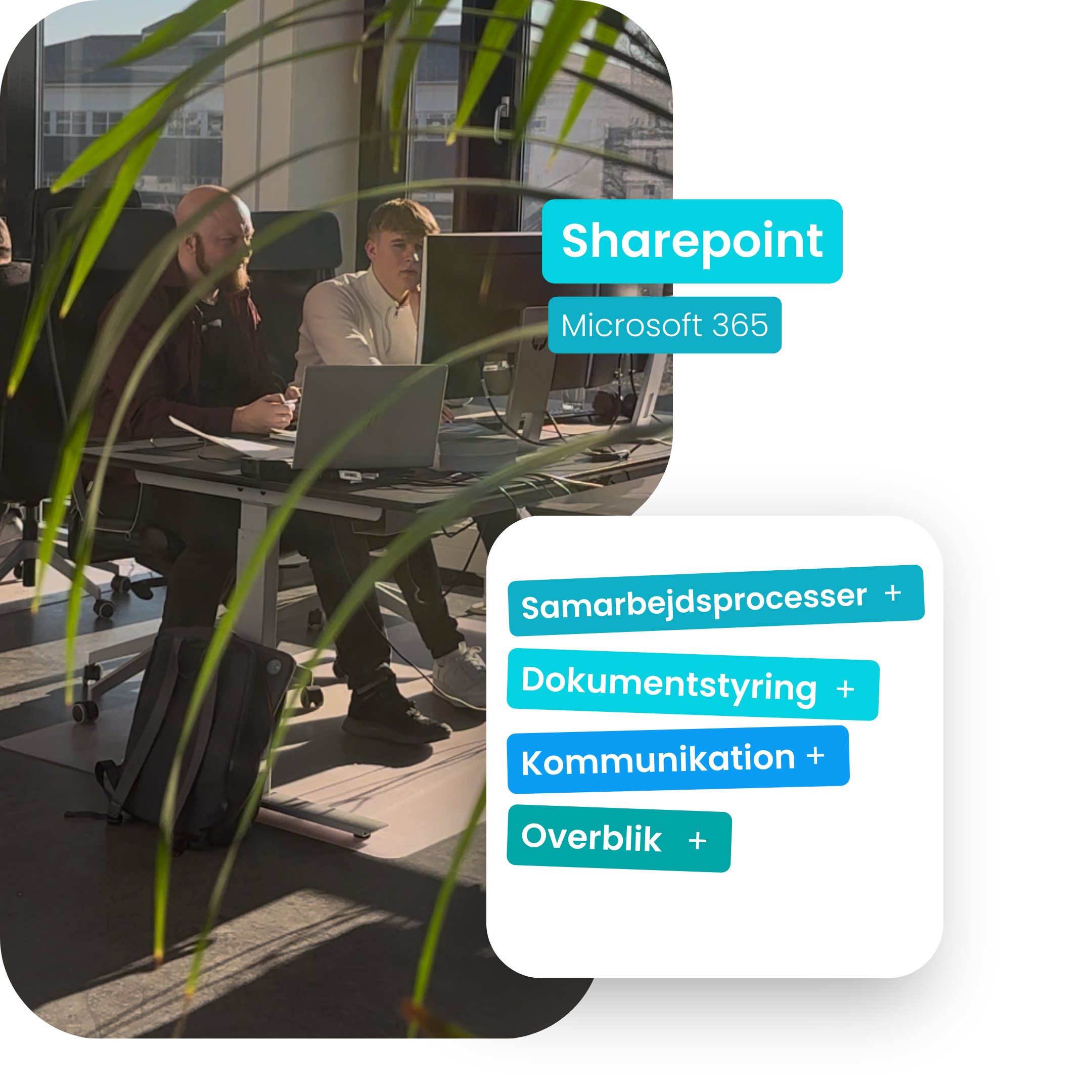 OnePoint - Microsoft 365 eksperter - Sharepoint
